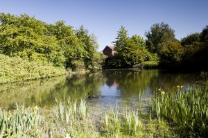 Hethersett, Norfolk  4.jpg